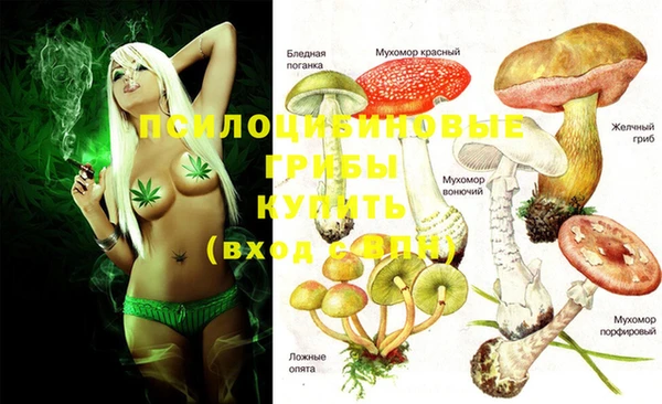 каннабис Зерноград