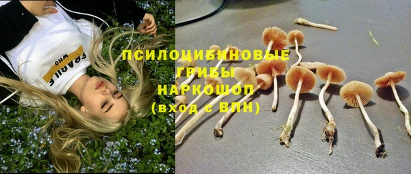 герыч Михайлов