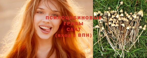 молекула духа Инта